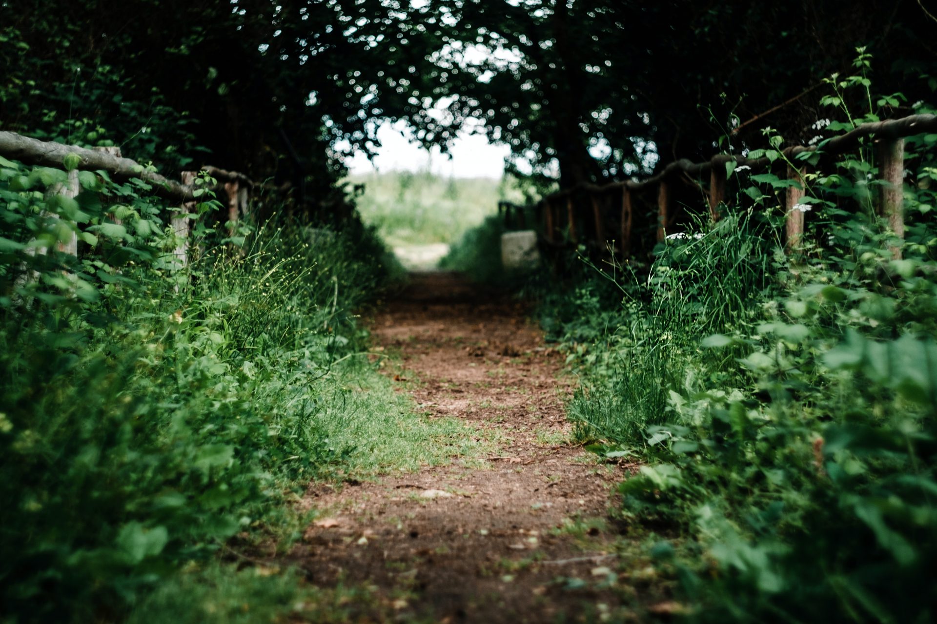 To The “Good Christian”— Stop Finding Worth in Your Goodness