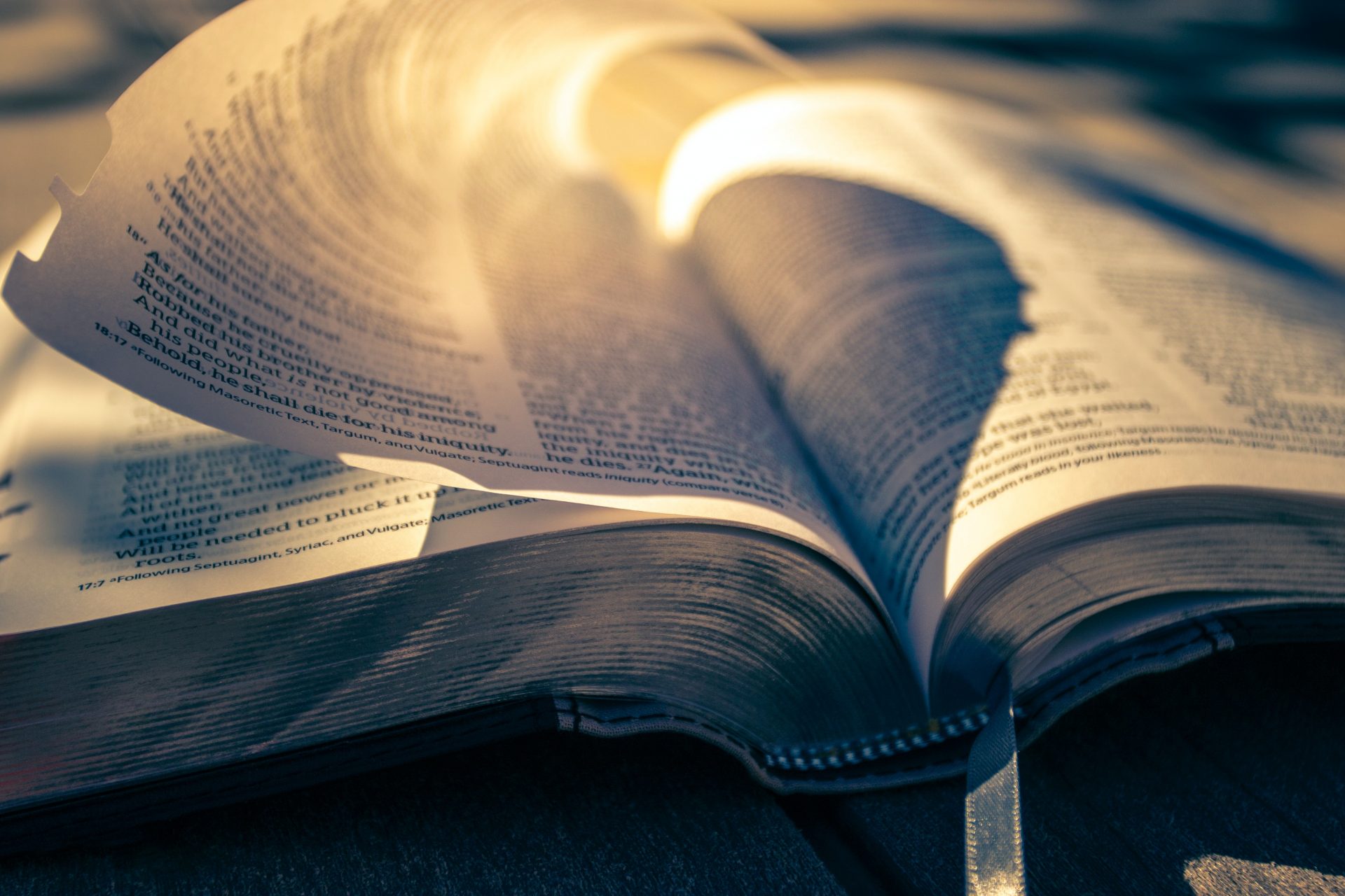 Why I Quit My Bible-In-A-Year Plan (and 4 Alternatives)