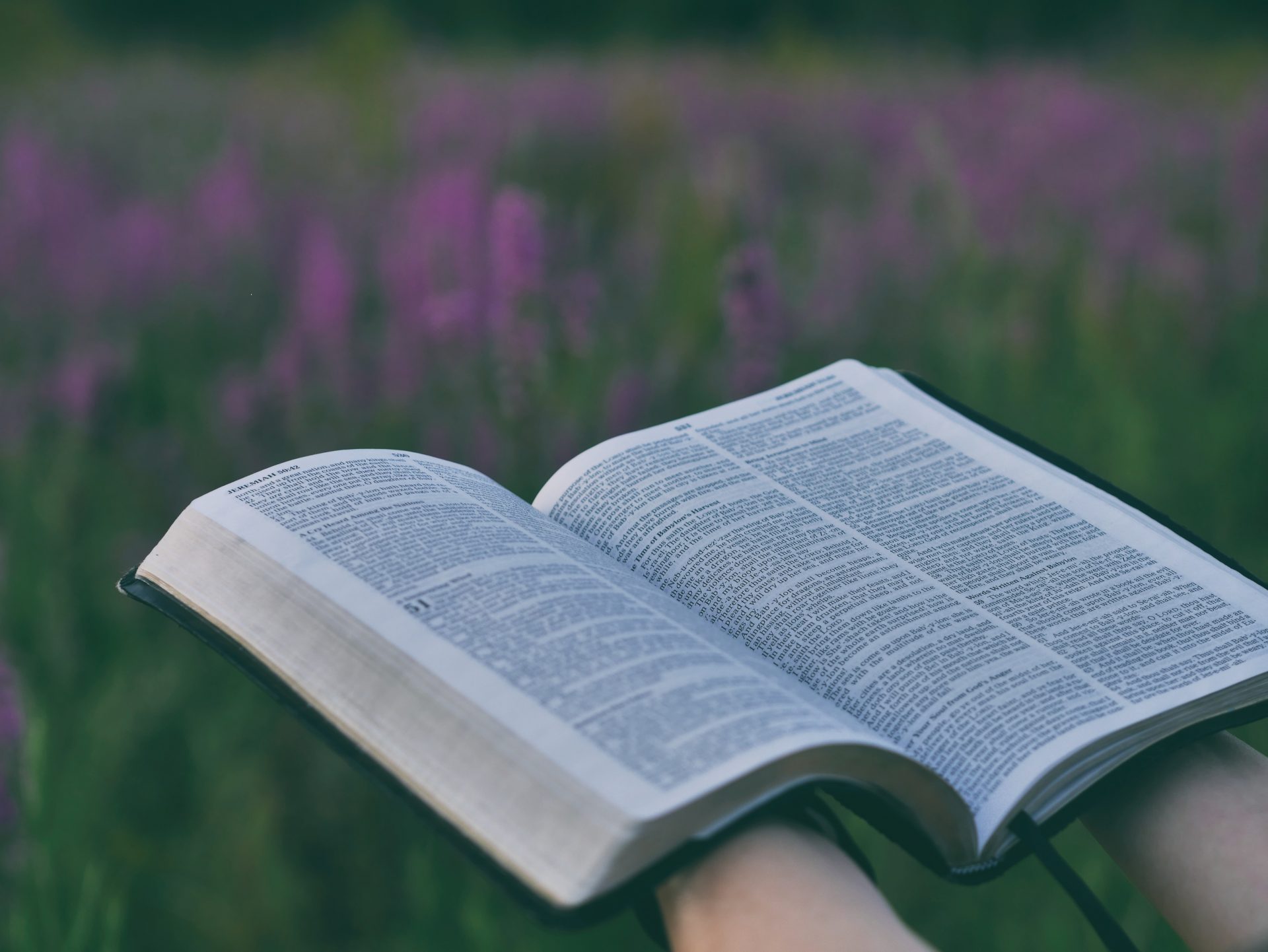 The Mark 16 Challenge— An Invitation to Share the Gospel