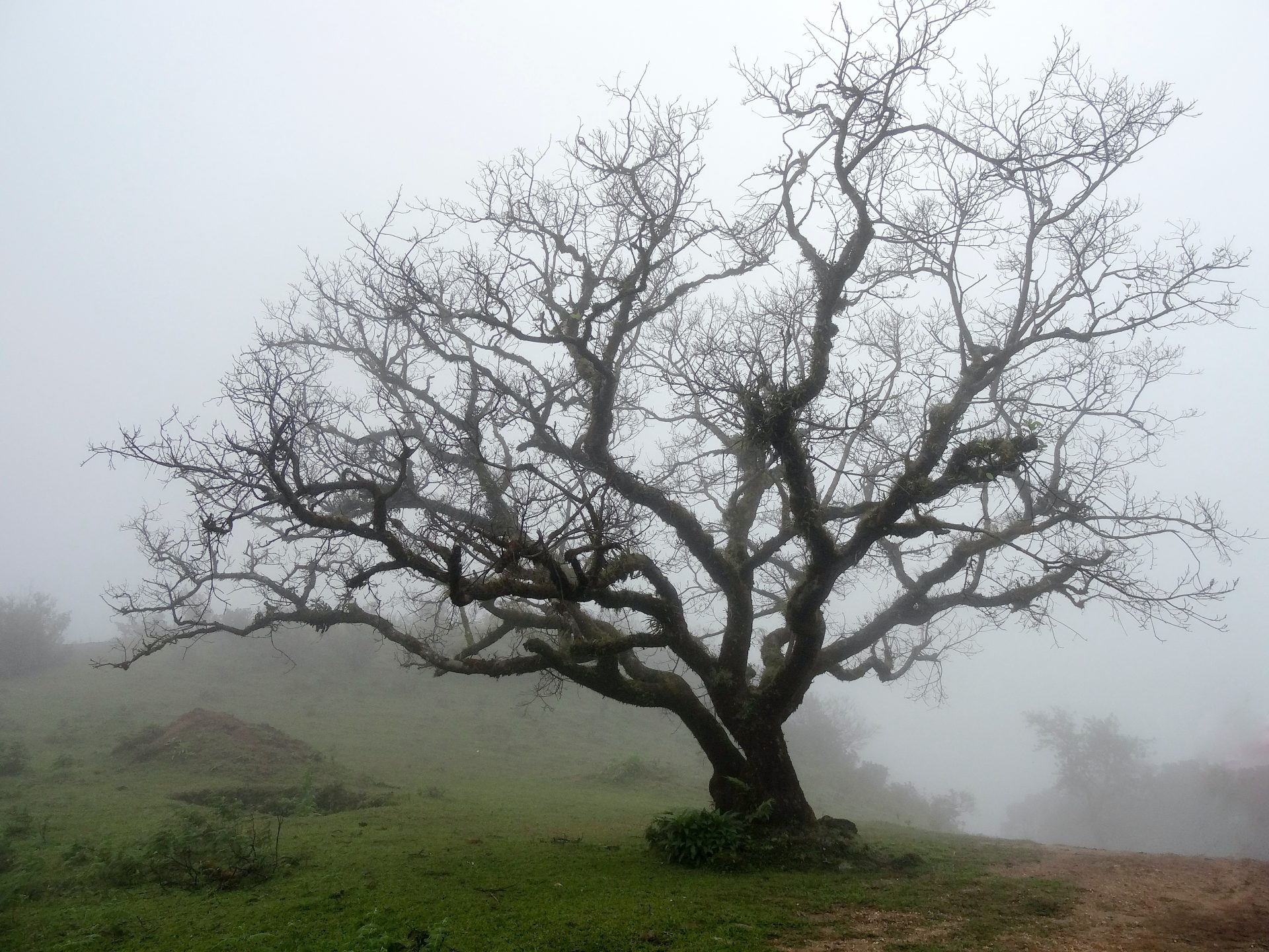 Praising God in Seasons of Lament